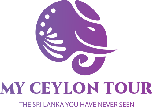 My Ceylon Tour
